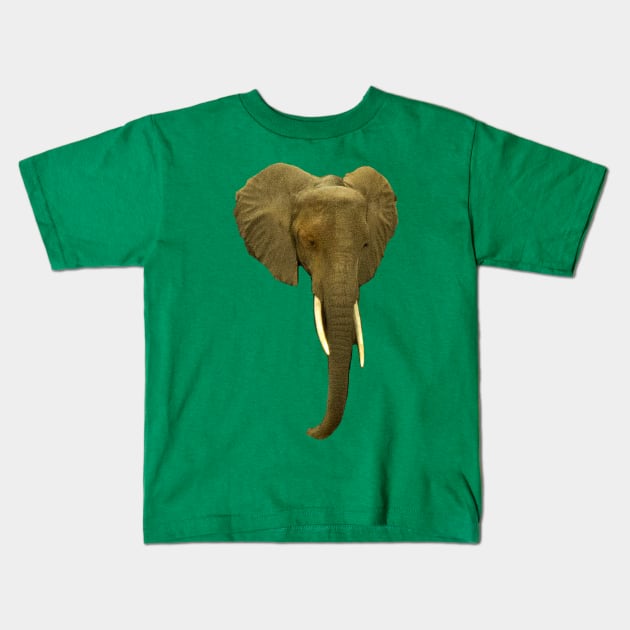 Elephant Portrait Kids T-Shirt by ellenhenryart